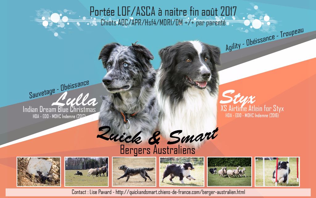 Lulla & Styx, portée prévue fin août 2017