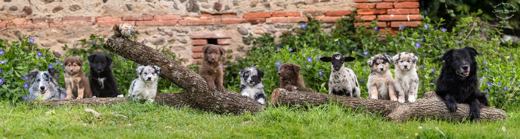Séance photo des bébés