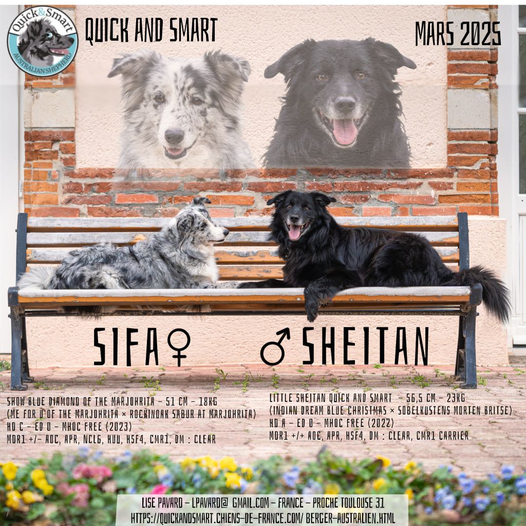 Les bébés de Sifa et Sheitan sont nés le 3 mars 2025